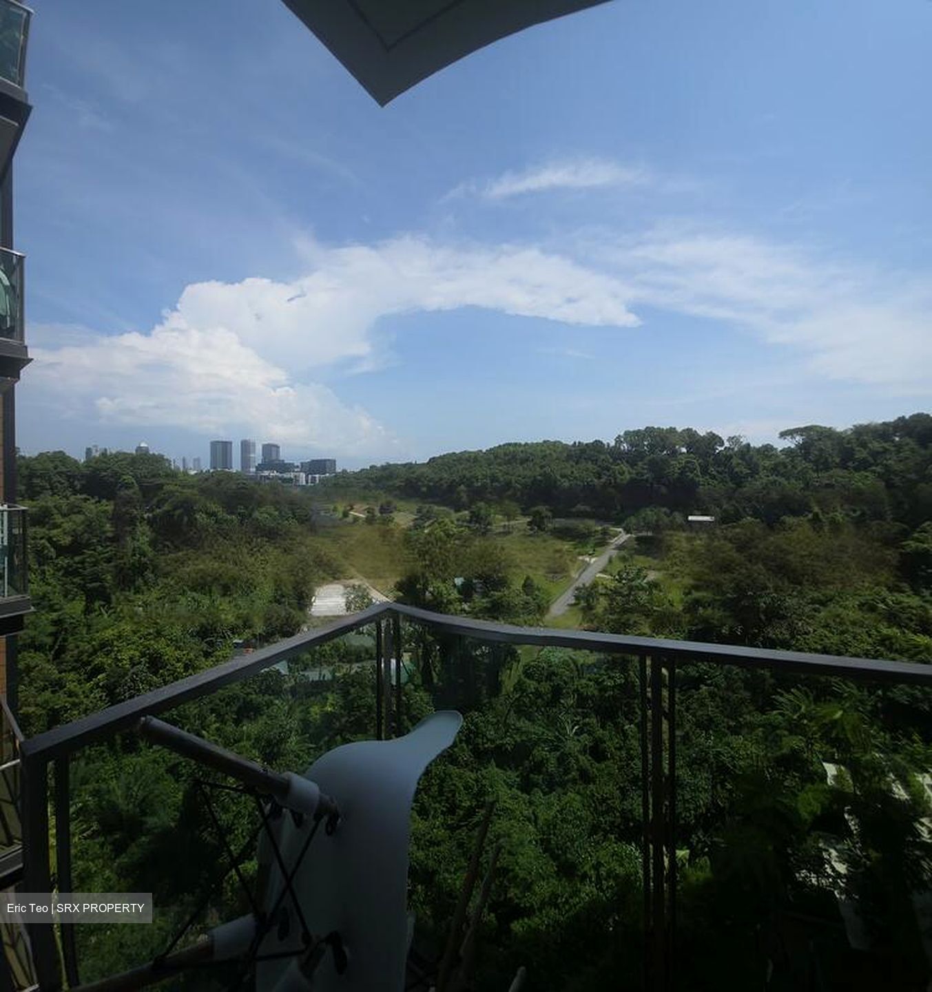 Normanton Park (D5), Apartment #485596321